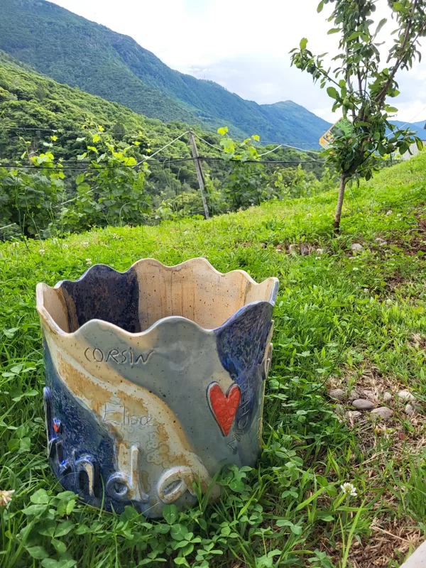 vaso Belinda